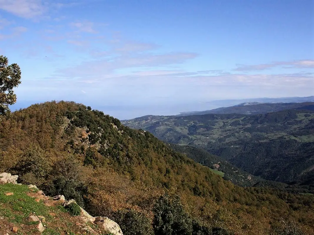 parco-dei-nebrodi